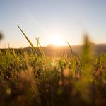 Allgemein: Barrierefreiheit: Alternativer Titel (redaktionell gepflegt)
