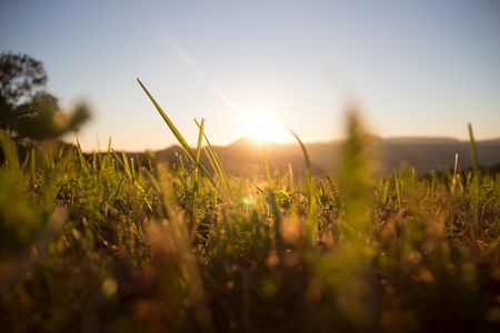 Allgemein: Barrierefreiheit: Alternativer Titel (redaktionell gepflegt)