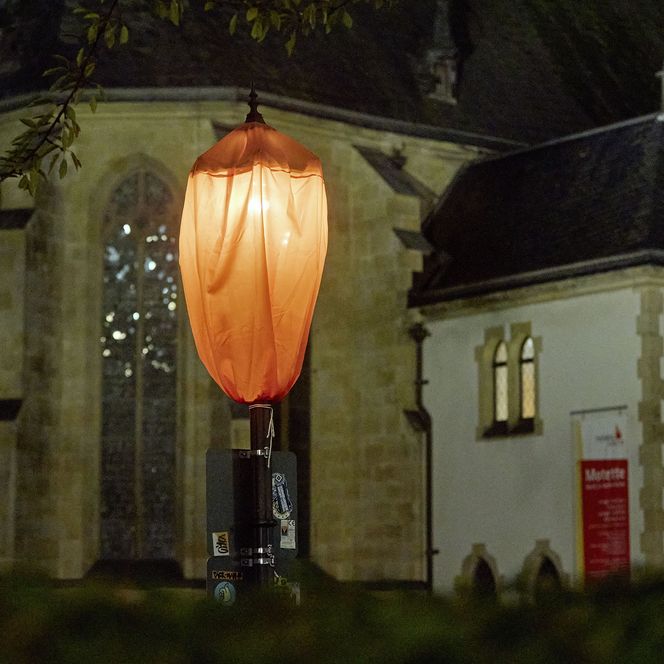 Lichtfest 2026: Orangefarbene Straßenleuchten unterstützen am Lichtfestabend die Orientierung entlang des Weges