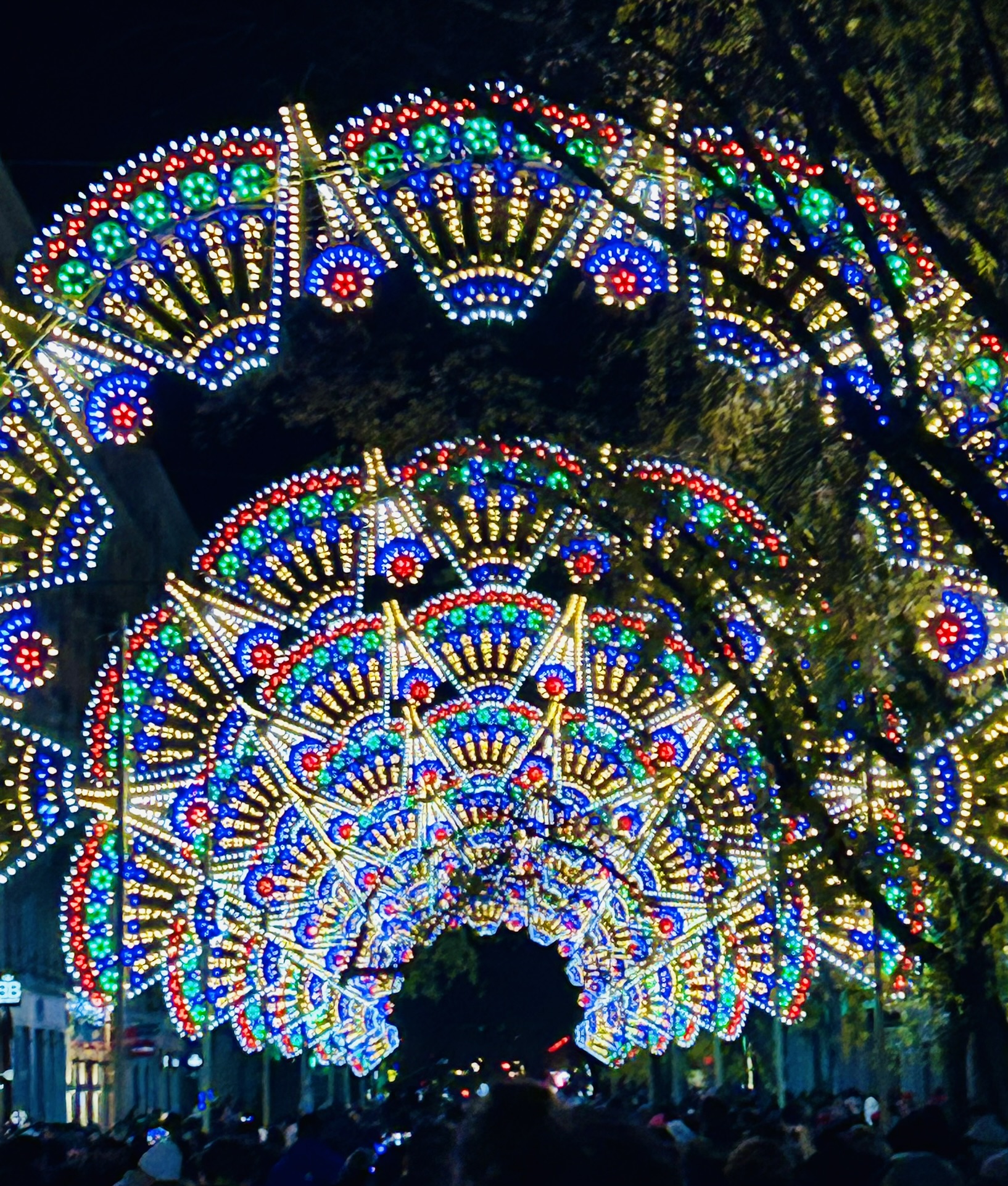 Lichtprojekt auf Fête des Lumières in Lyon