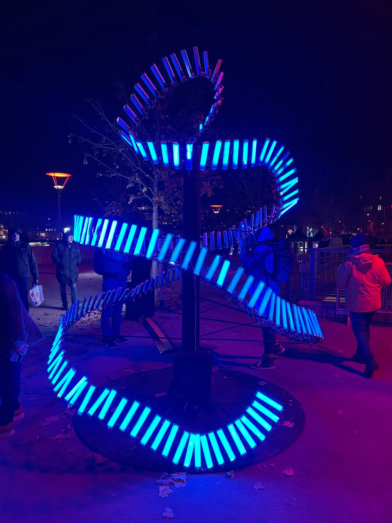 Lichtprojekt auf Fête des Lumières in Lyon