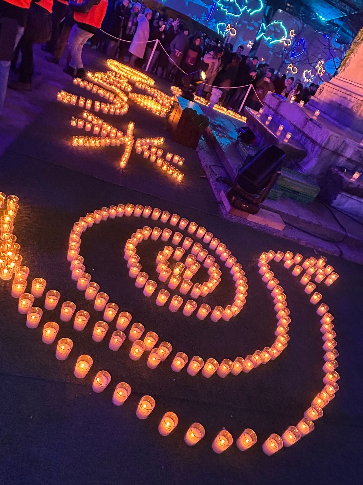 Lichtprojekt auf Fête des Lumières in Lyon